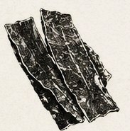 Etched illustration of dried kombu kelp